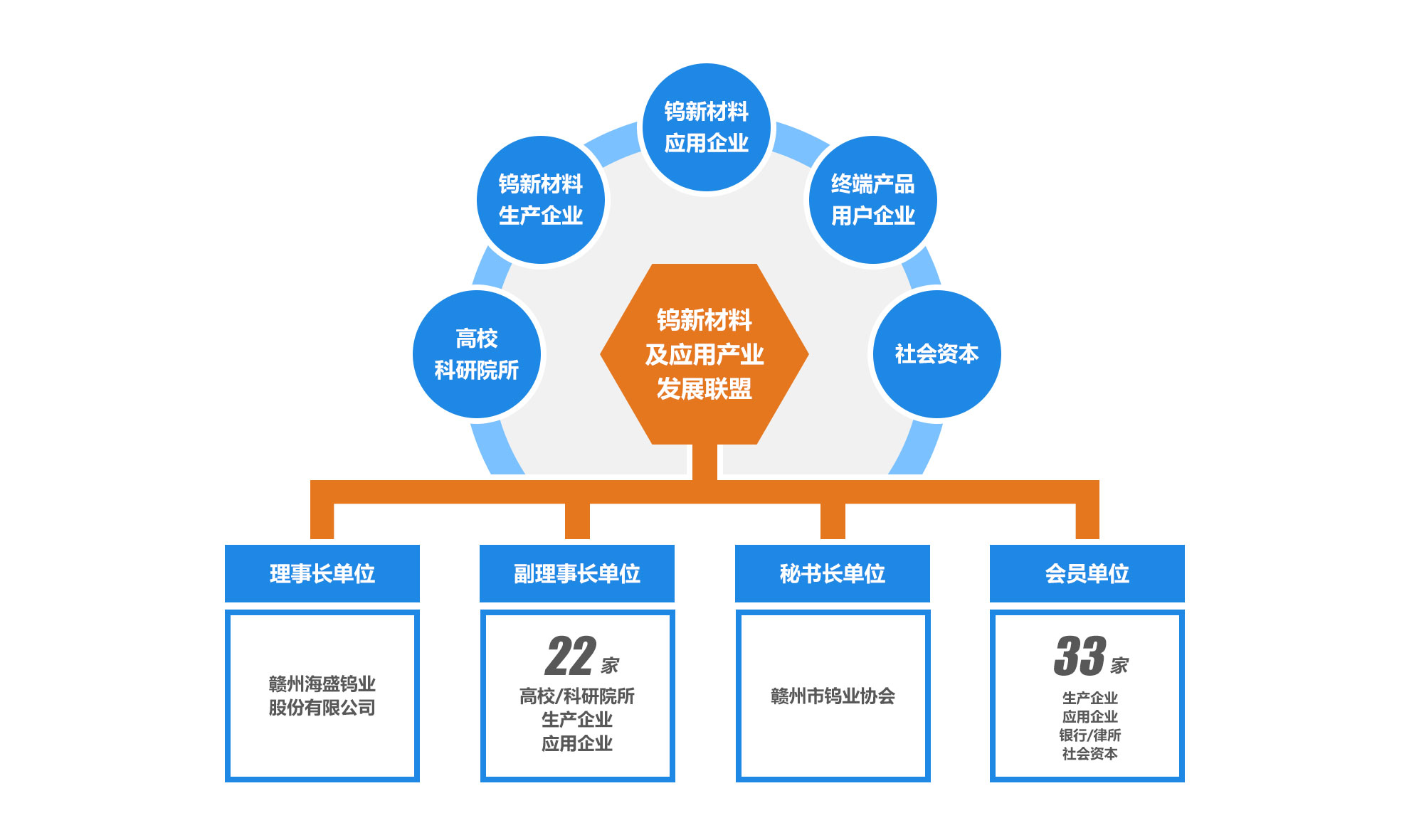 联盟组成
